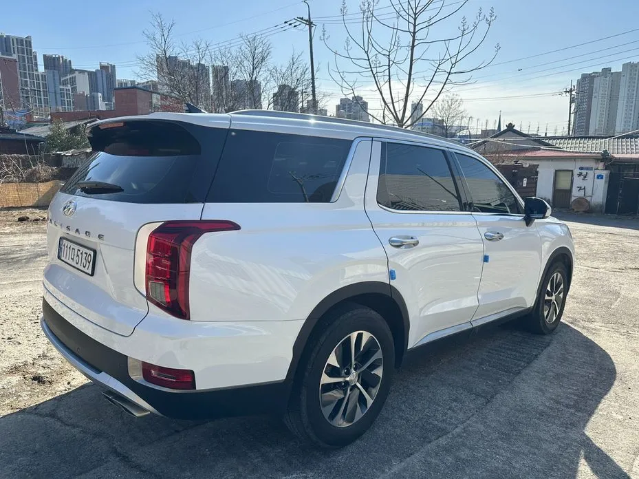 Hyundai Palisade — фото 6