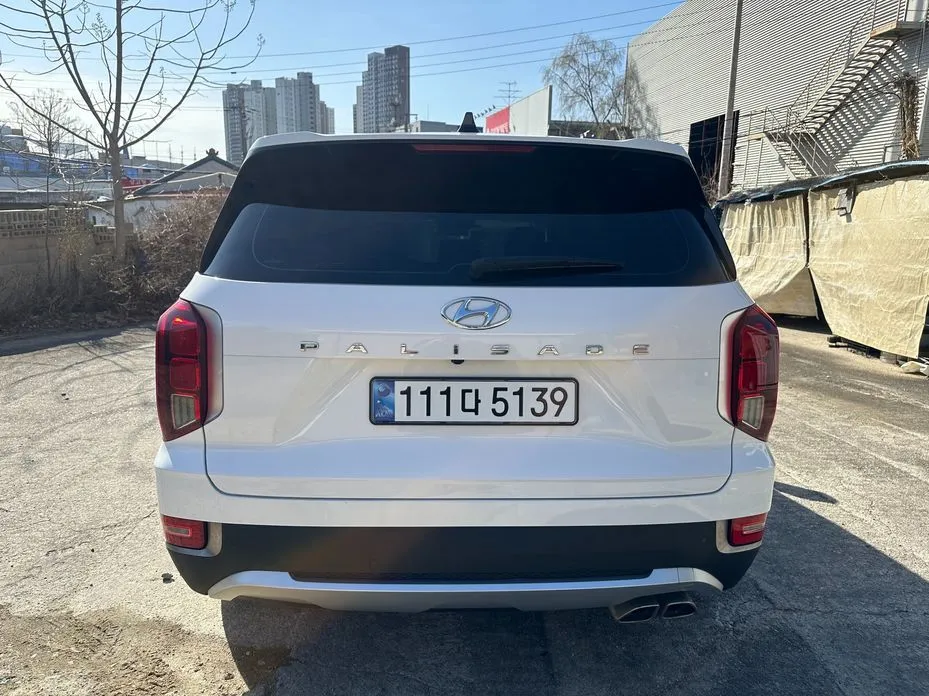 Hyundai Palisade — фото 8