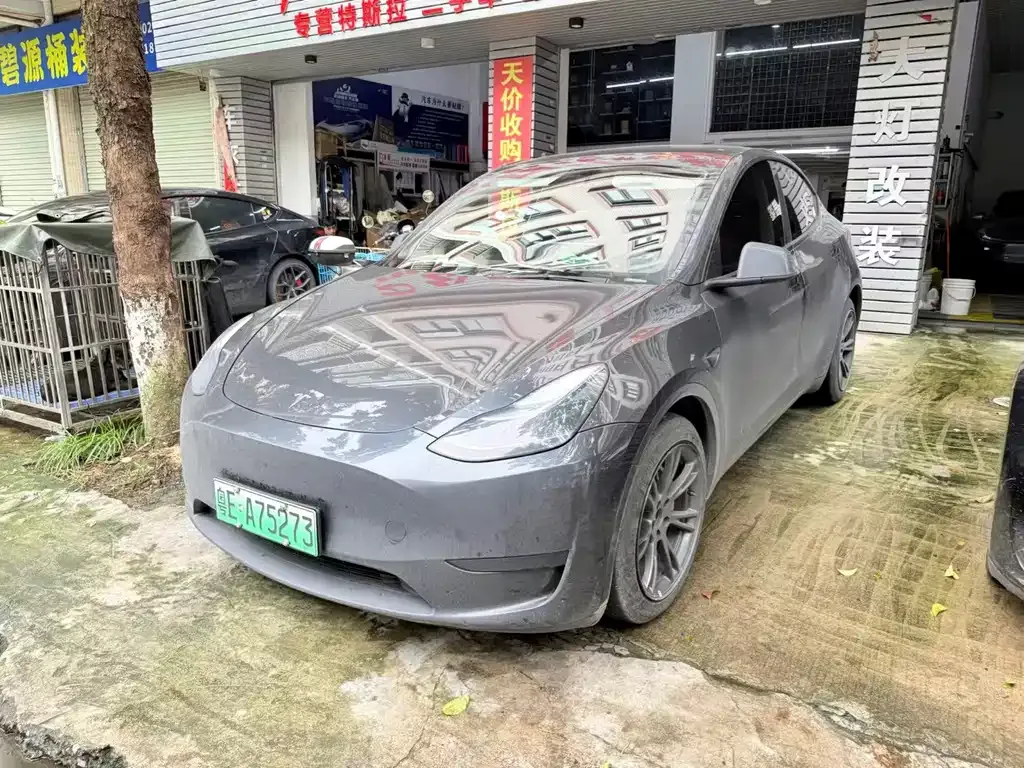 Tesla Model Y — фото 1
