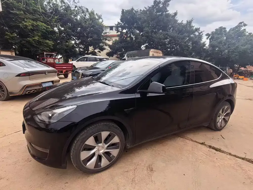 Tesla Model Y — фото 4