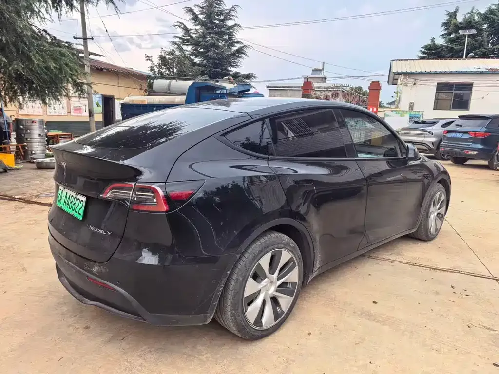 Tesla Model Y — фото 6