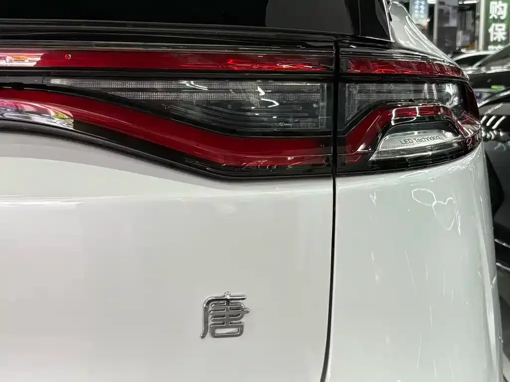 BYD Tang New Energy — фото 10