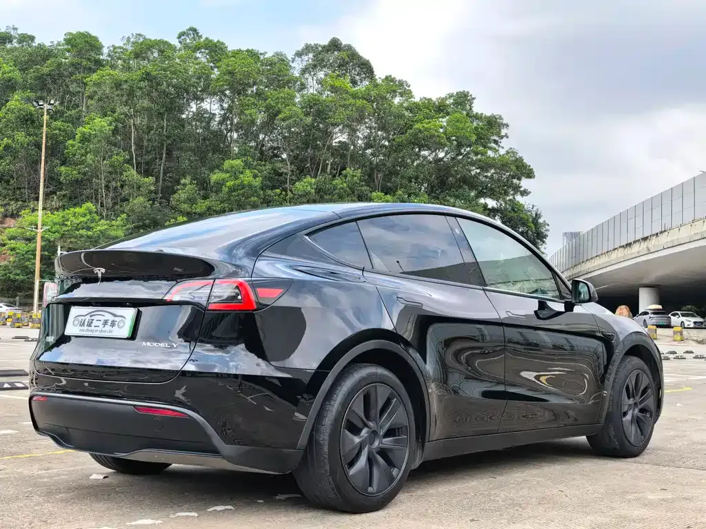 Tesla Model Y — фото 10
