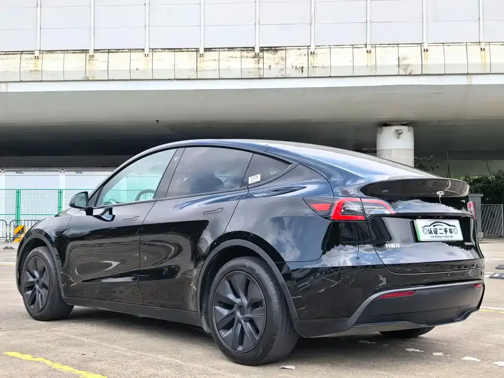 Tesla Model Y — фото 9