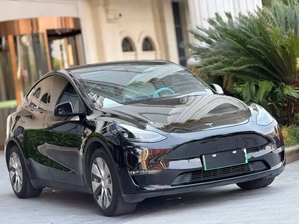 Tesla Model Y — фото 8