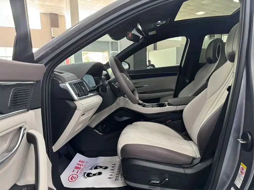 BYD PLUS New Energy — фото 4