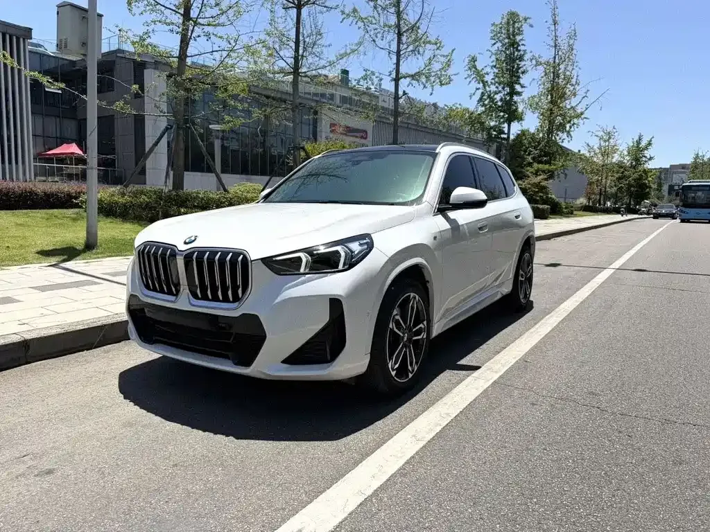 BMW X1 — фото 1