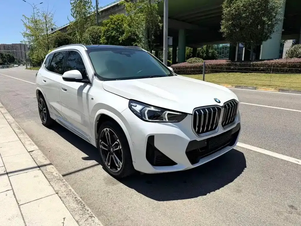 BMW X1 — фото 2