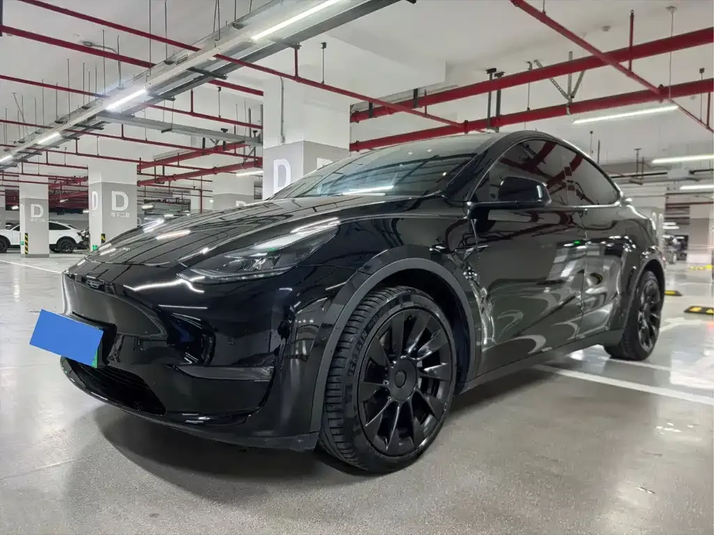 Tesla Model Y — фото 1