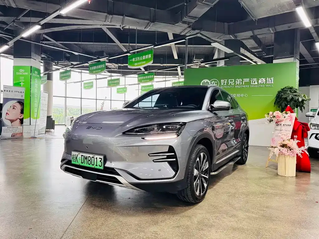 BYD PLUS New Energy — фото 1