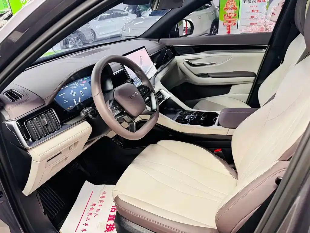 BYD PLUS New Energy — фото 8