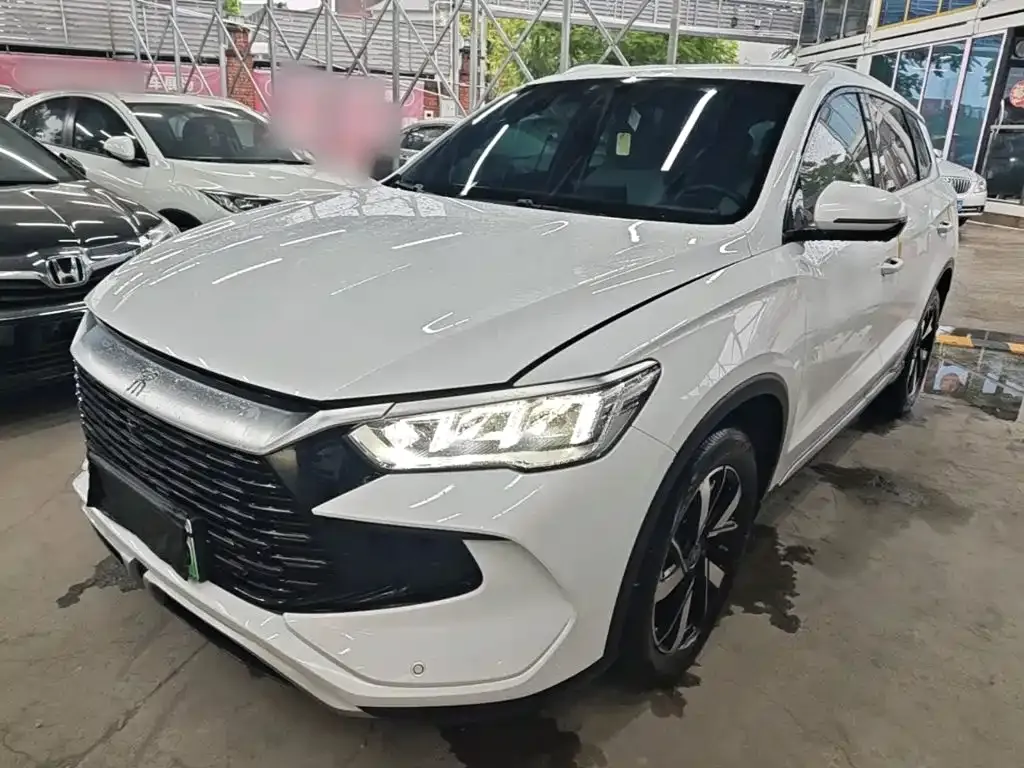 BYD Pro New Energy — фото 1