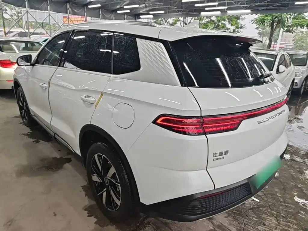 BYD Pro New Energy — фото 7