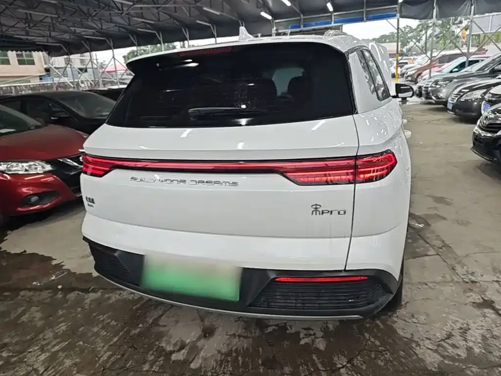 BYD Pro New Energy — фото 4