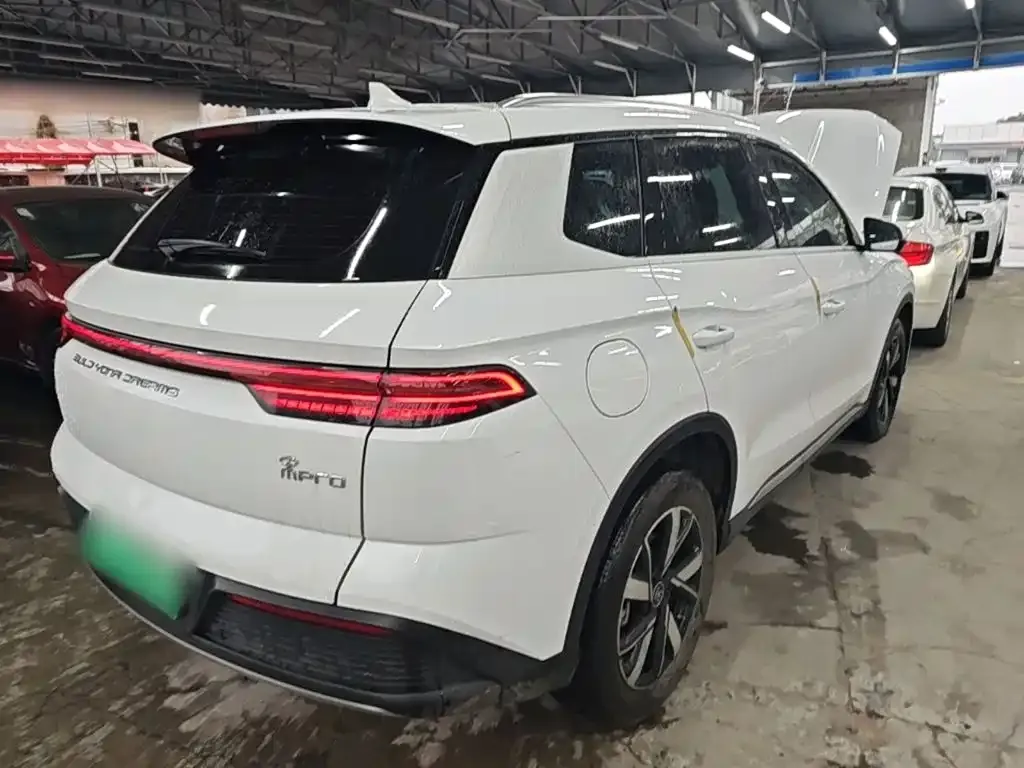 BYD Pro New Energy — фото 9