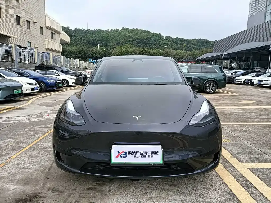 Tesla Model Y — фото 8
