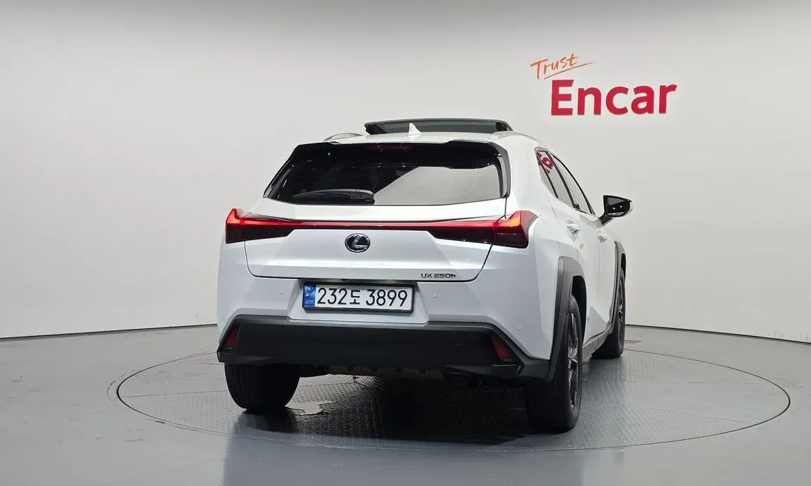 Lexus UX 2023 из KR, фото 4