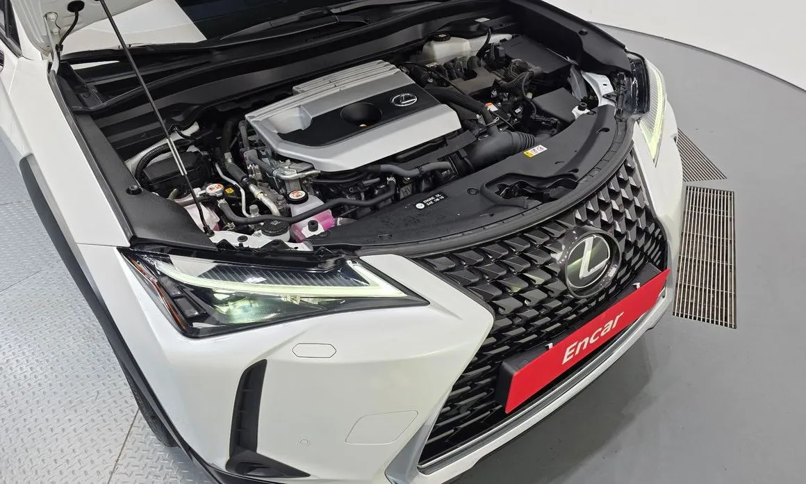 Lexus UX 2023 из KR, фото 9