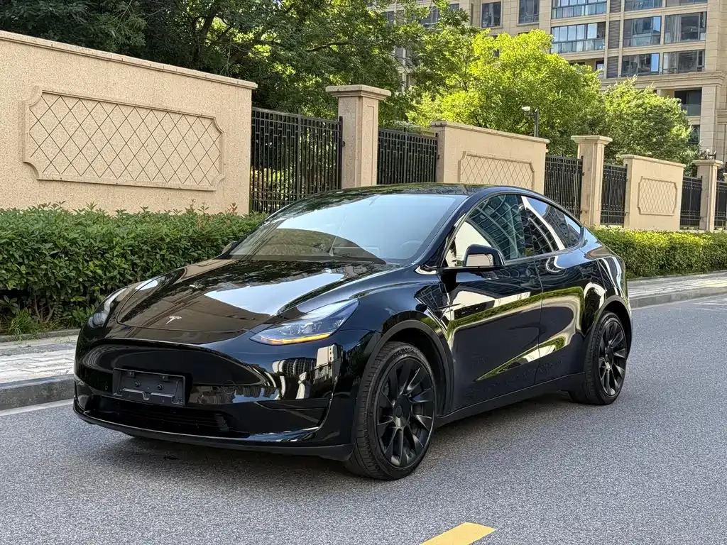 Tesla Model Y — фото 1