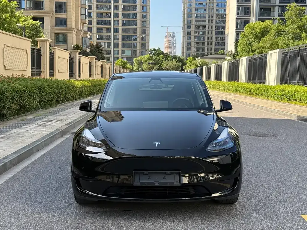 Tesla Model Y — фото 9