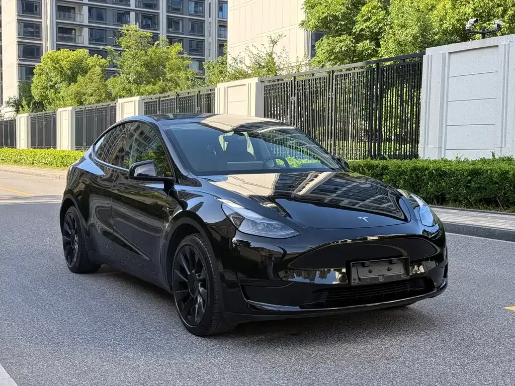 Tesla Model Y — фото 5
