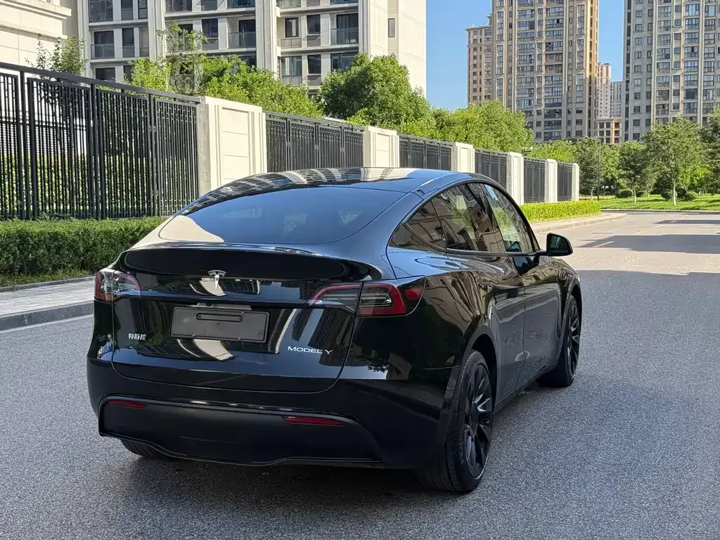 Tesla Model Y — фото 10