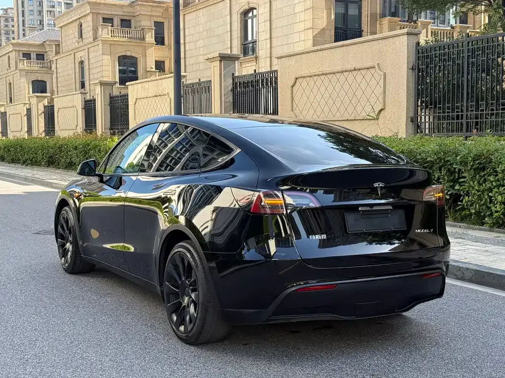 Tesla Model Y — фото 8