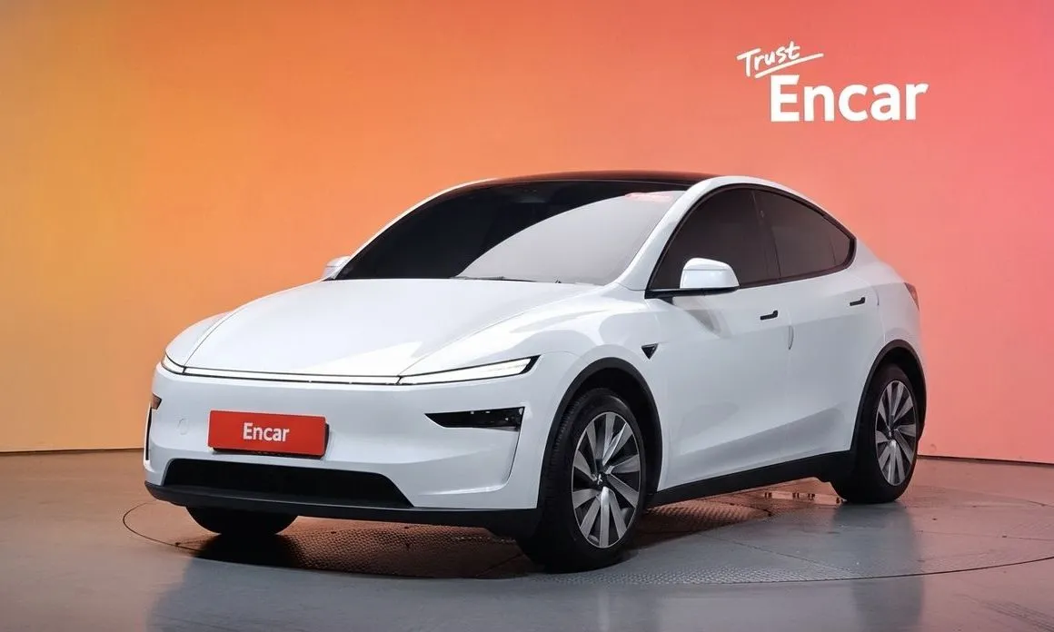 Tesla Model Y — фото 1