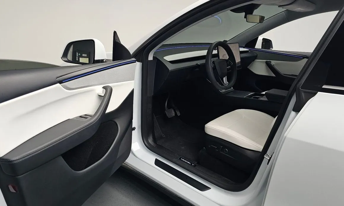 Tesla Model Y — фото 10