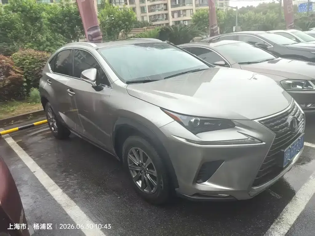 Lexus NX — фото 4