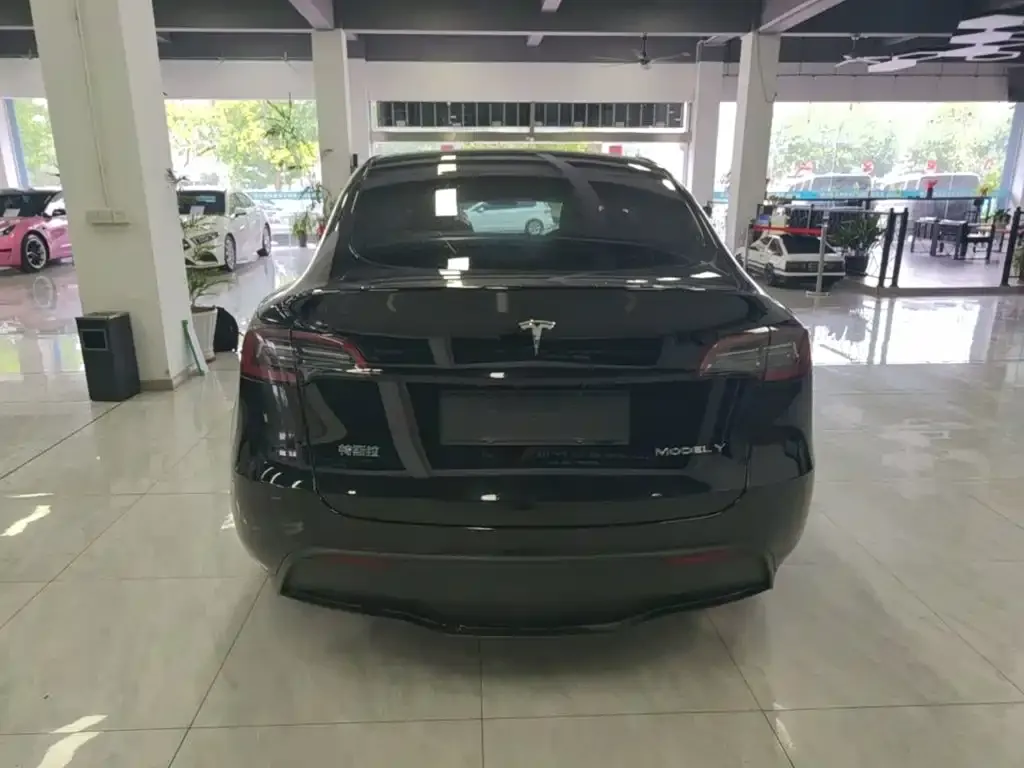 Tesla Model Y — фото 2