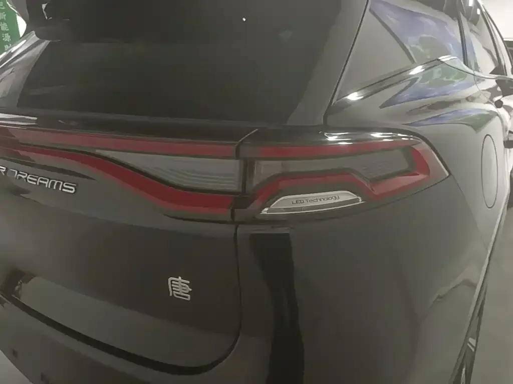 BYD Tang New Energy — фото 10