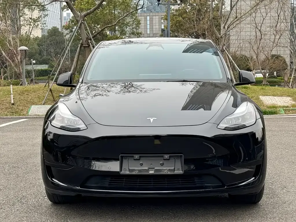 Tesla Model Y — фото 9