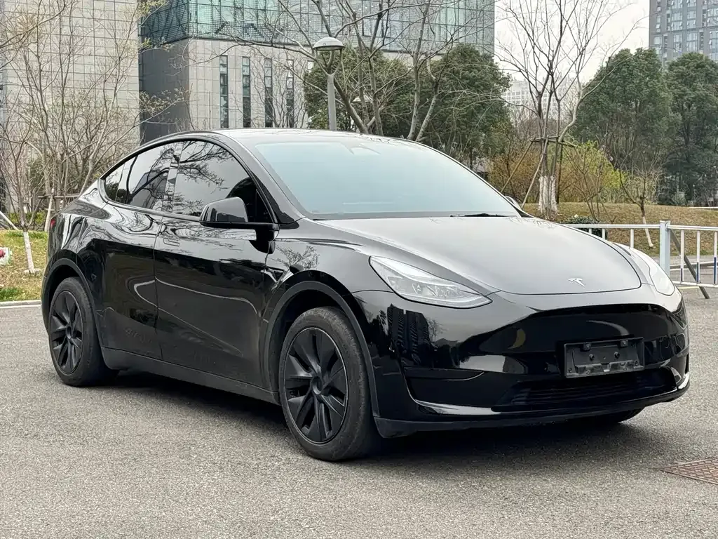 Tesla Model Y — фото 10