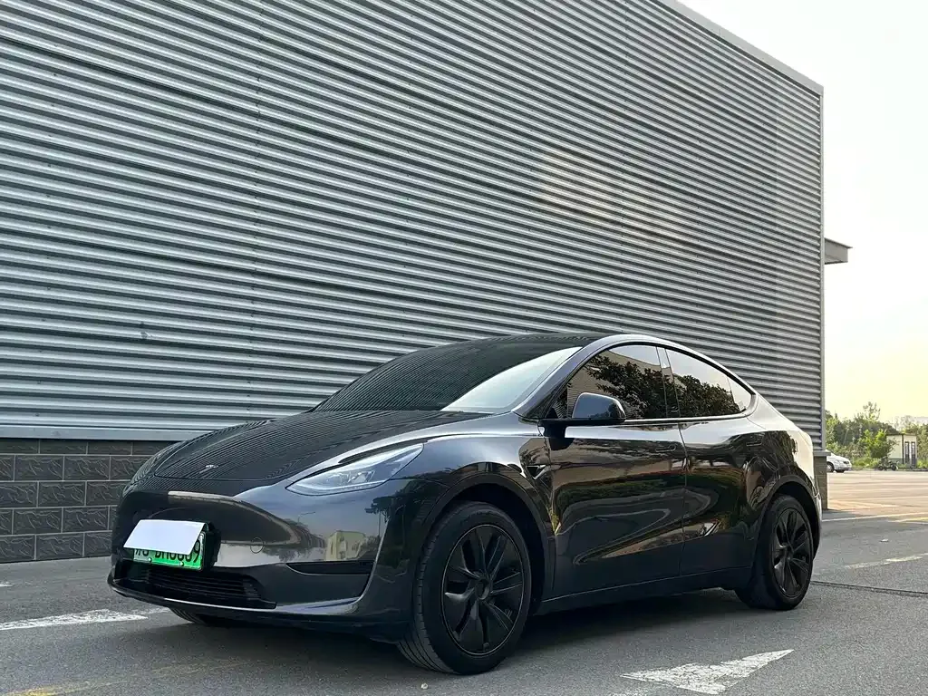Tesla Model Y — фото 1