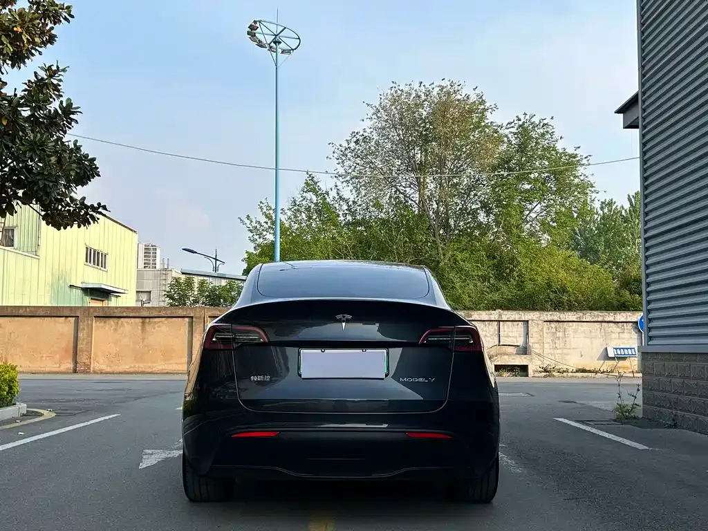 Tesla Model Y — фото 4