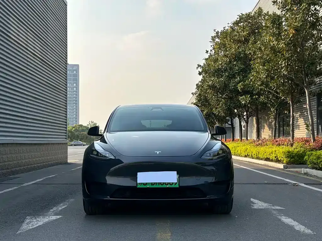 Tesla Model Y — фото 9