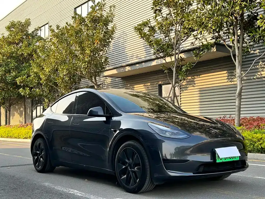 Tesla Model Y — фото 3