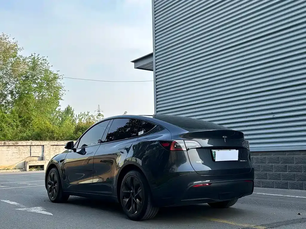 Tesla Model Y — фото 8