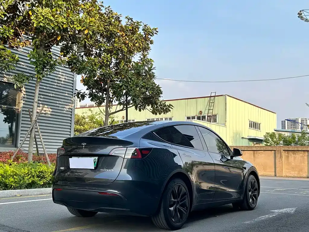 Tesla Model Y — фото 10