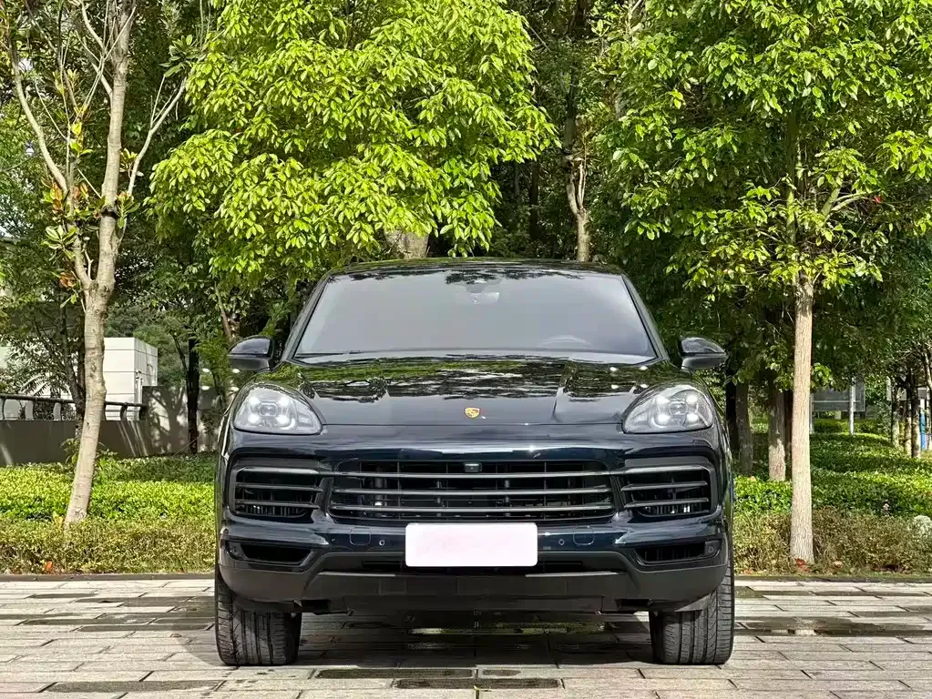 Porsche Cayenne — фото 10