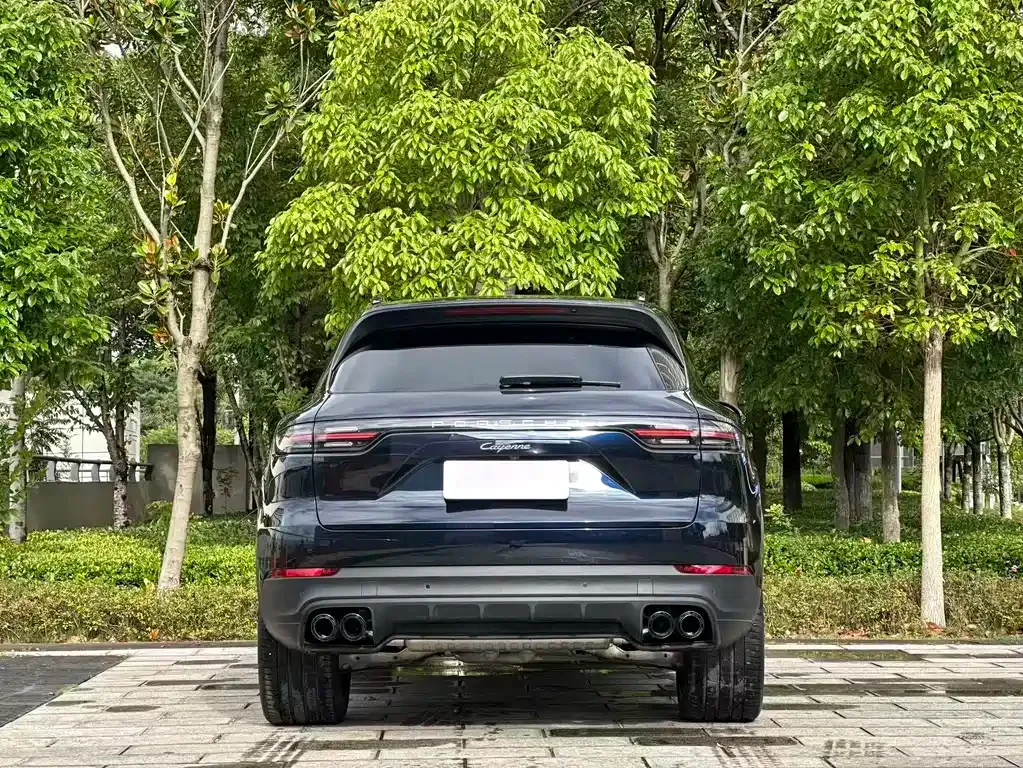 Porsche Cayenne — фото 7