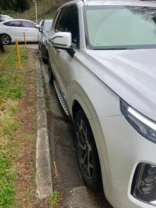 Hyundai Palisade — фото 2