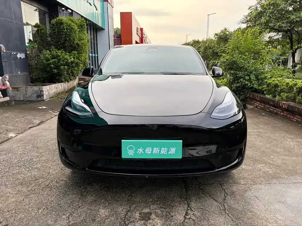 Tesla Model Y — фото 7