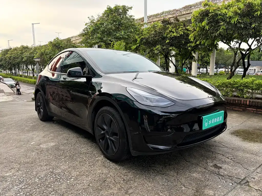 Tesla Model Y — фото 4