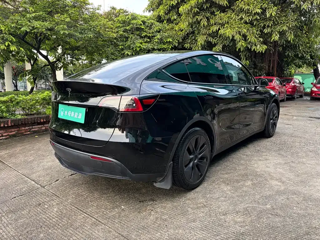 Tesla Model Y — фото 9