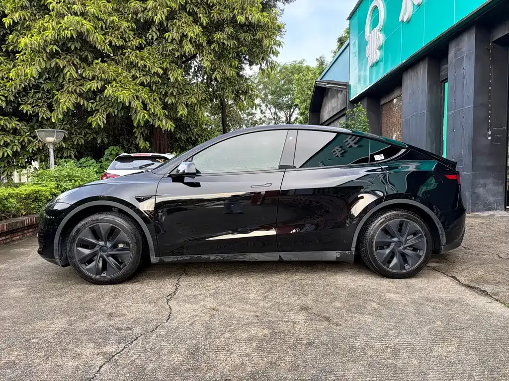 Tesla Model Y — фото 10