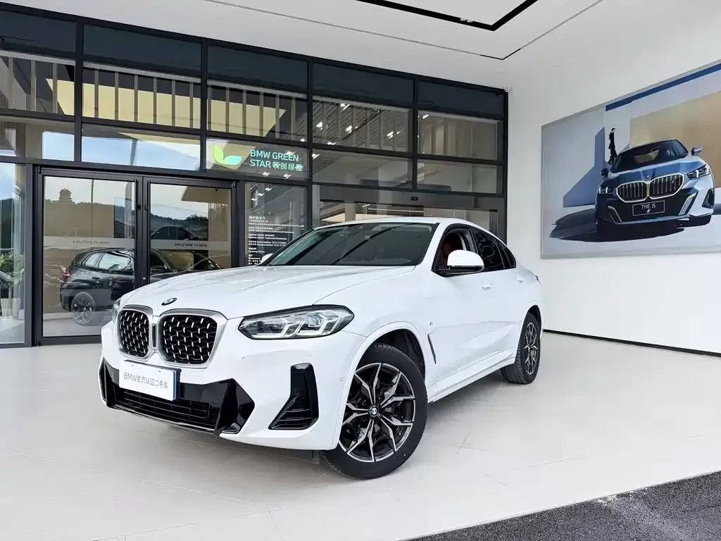 BMW X4 — фото 1