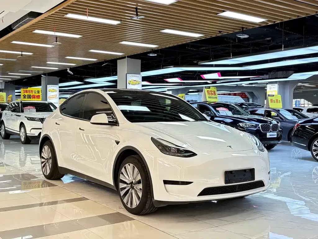 Tesla Model Y — фото 6