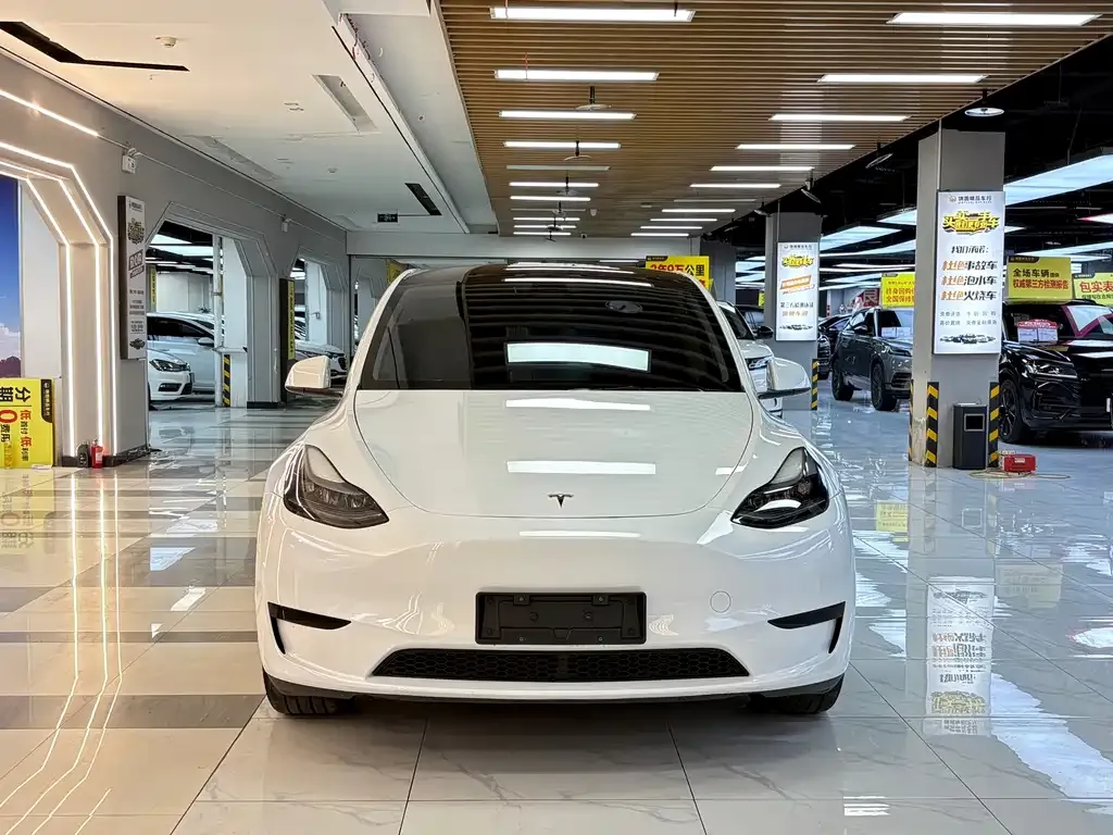 Tesla Model Y — фото 10